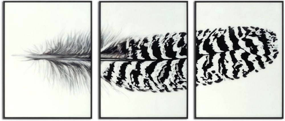 Black Striped Feather Over 3 Black Glass Frames