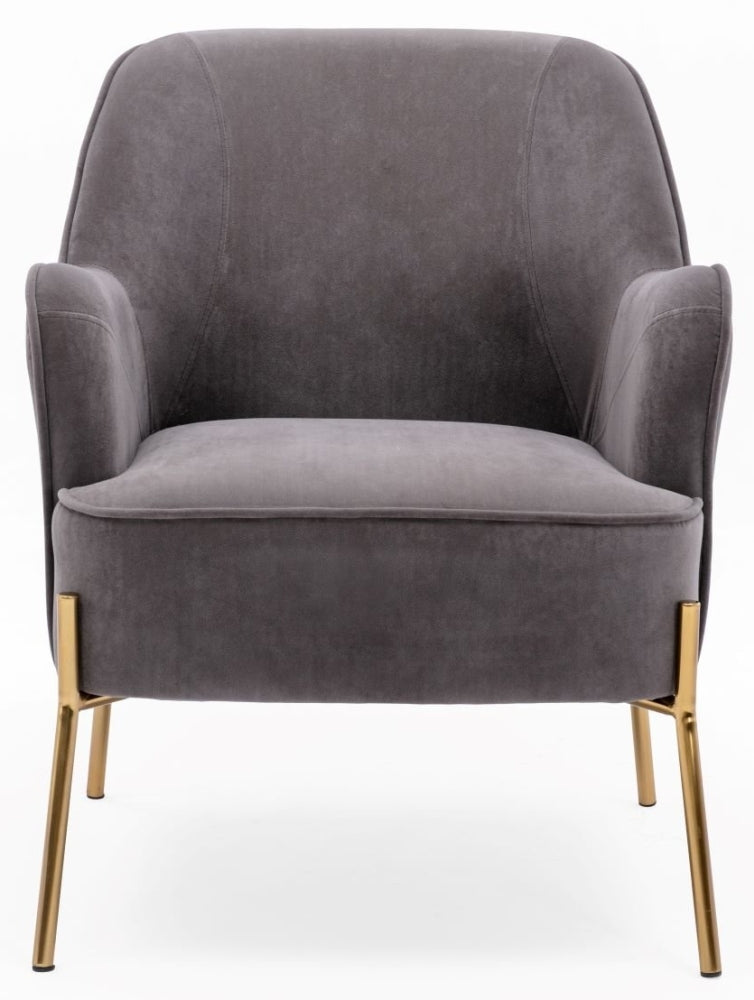 Mia Eris Steel Velvet Fabric Accent Chair