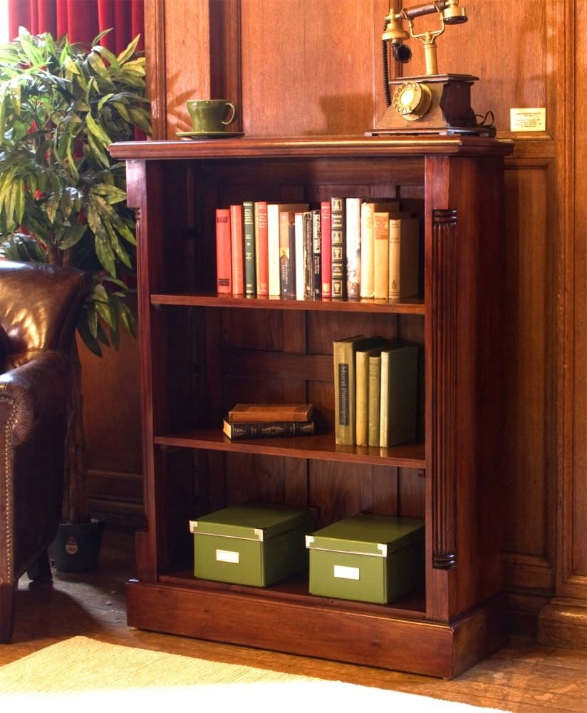 La Roque Mahogany Low Bookcase