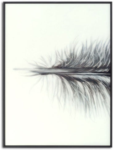 Black Striped Feather Over 3 Black Glass Frames