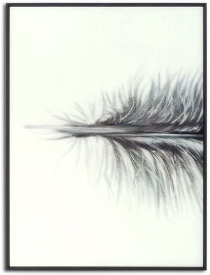 Black Striped Feather Over 3 Black Glass Frames