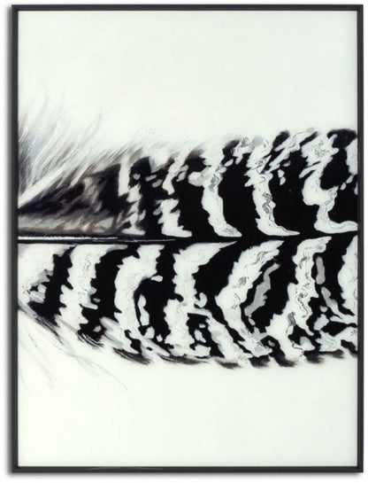 Black Striped Feather Over 3 Black Glass Frames