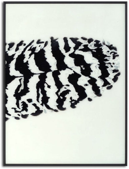 Black Striped Feather Over 3 Black Glass Frames