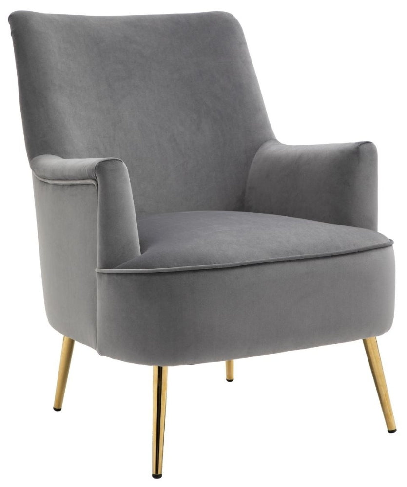 Jetson Athena Grey Velvet Fabric Accent Chair