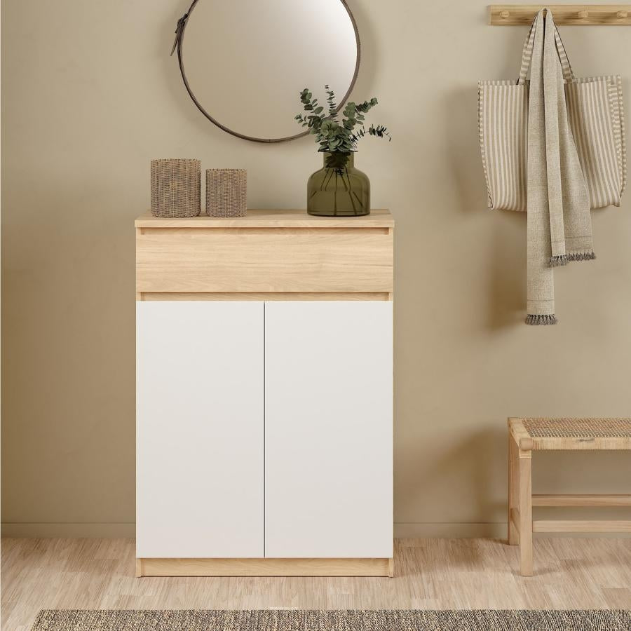 Naia 2 Door 1 Drawer Shoe Cabinet