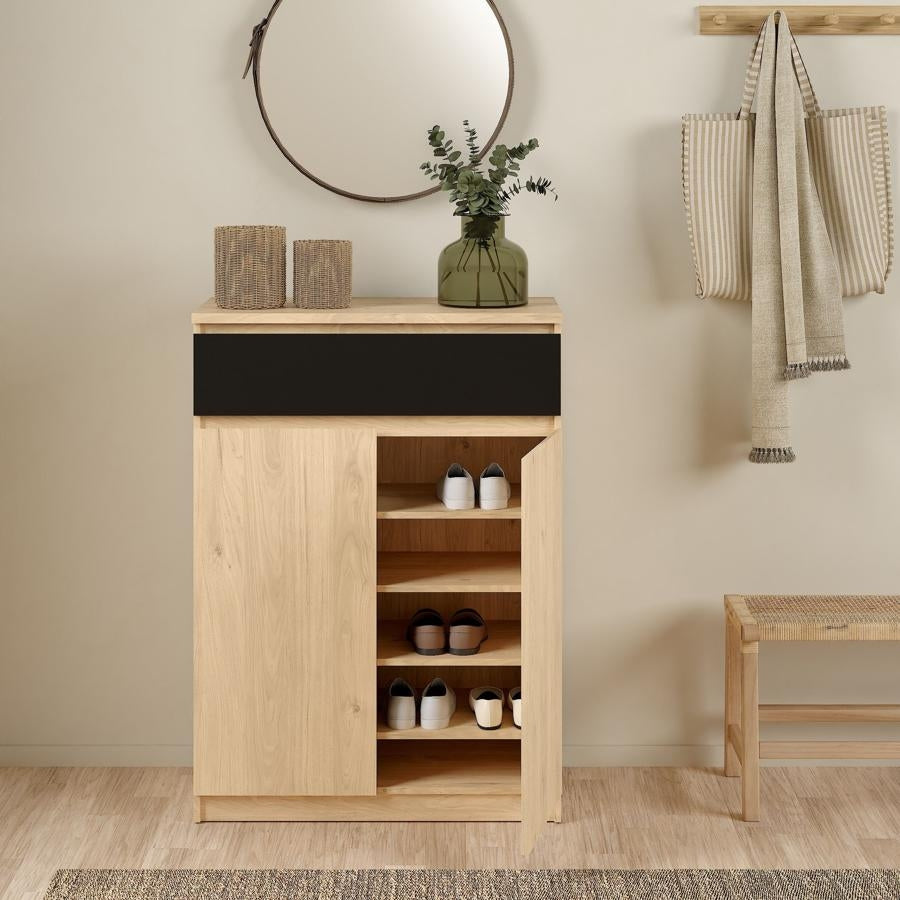 Naia 2 Door 1 Drawer Shoe Cabinet