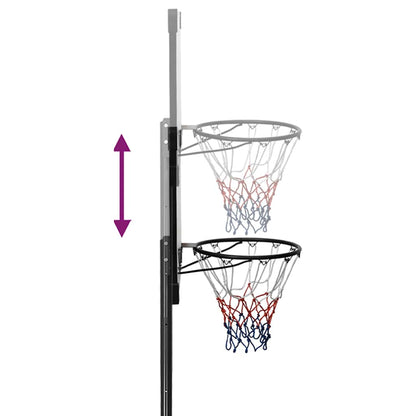 Basketball Stand Transparent 235-305 Cm Polycarbonate