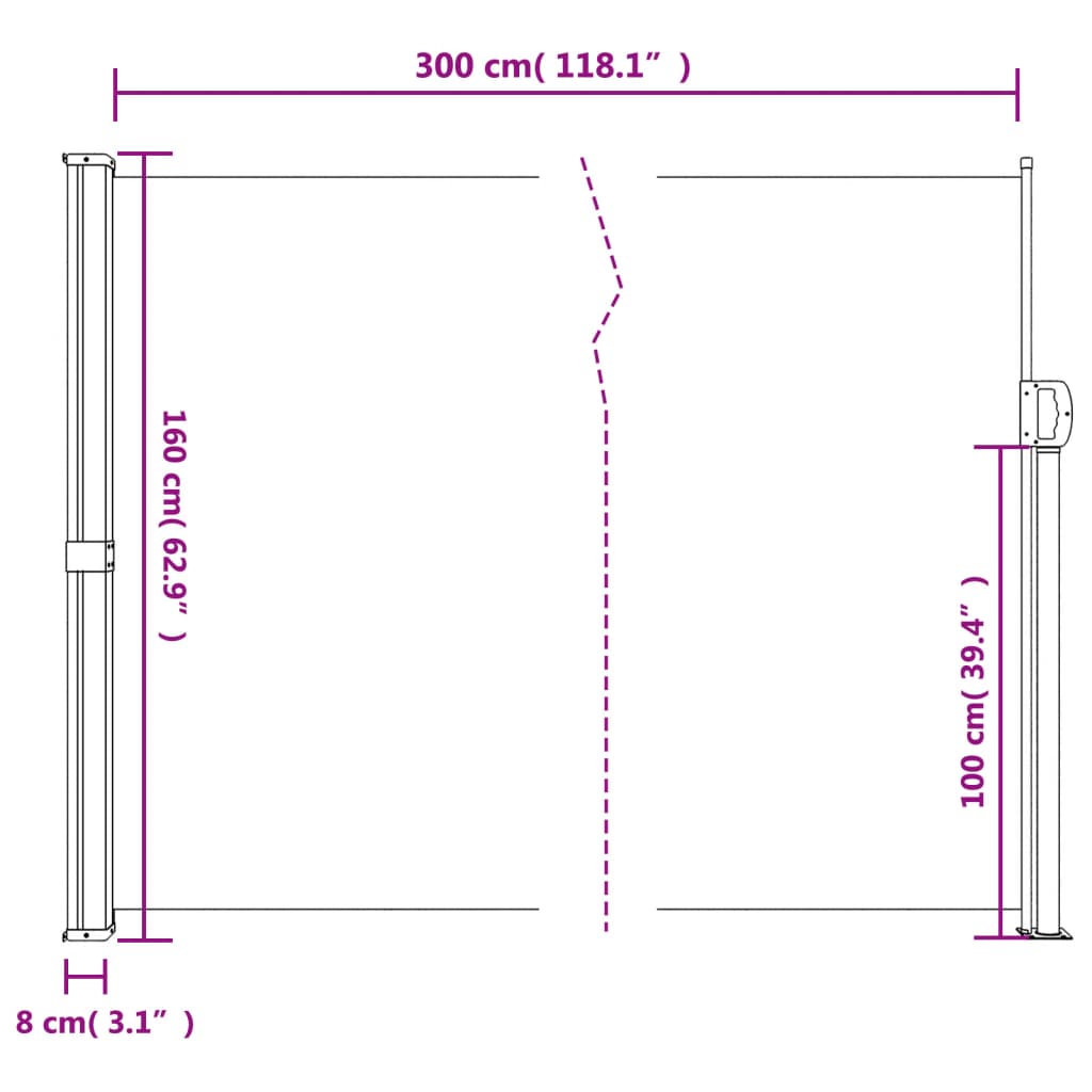 Retractable Side Awning Blue 160X300 Cm