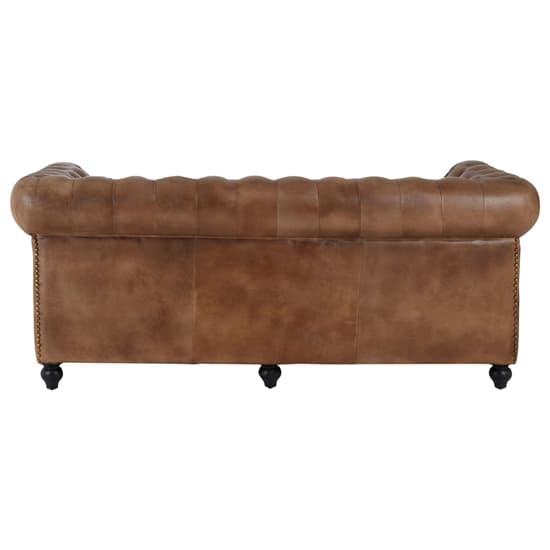 Australis Upholstered Leather 3 Seater Sofa In Brown