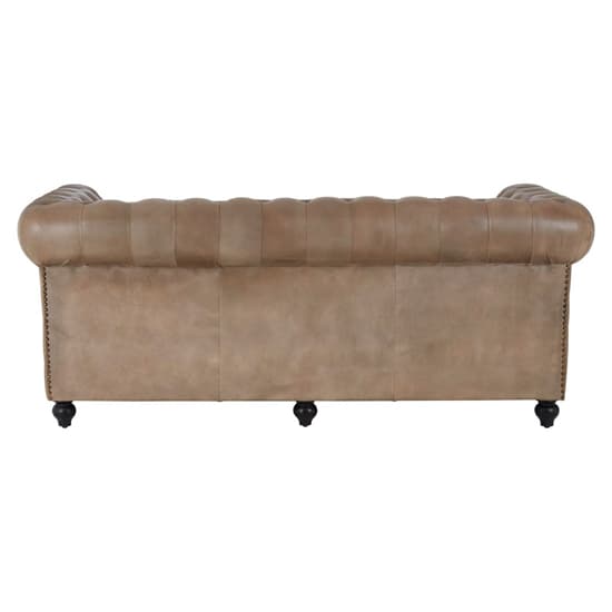 Australis Upholstered Leather 3 Seater Sofa In Light Brown