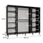 Barrie I Mirrored Wardrobe With Sliding 3 Doors 250cm In Black