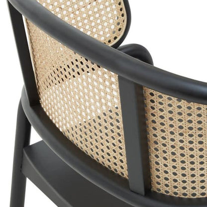 FURCO Black Rattan Wooden Armchair for Living Room