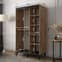 Genoa III Chestnut Oak Mirrored Sliding Wardrobe with 2 Doors - 120cm