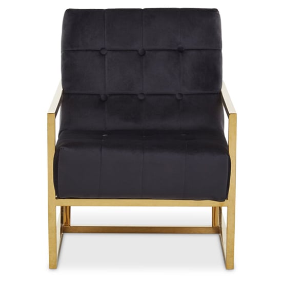 FURCO Black Velvet Armchair with Gold Stainless Steel Frame and Button Tufting