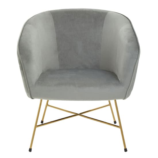 Porrima Velvet Upholstered Accent Chair In Grey