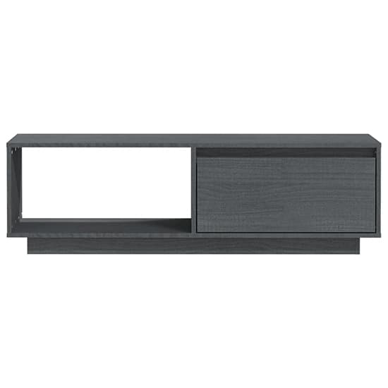 Grey Pinewood TV Stand with Door and Shelf for Living Room Storage