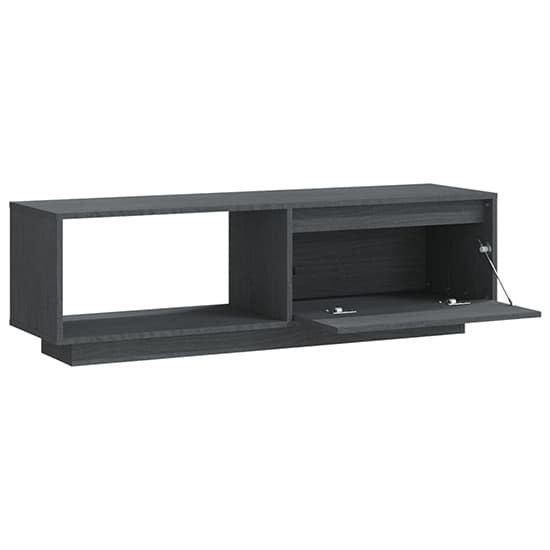 Grey Pinewood TV Stand with Door and Shelf for Living Room Storage