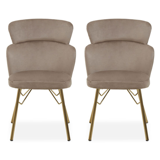 FURCO Mink Velvet Contoured Chairs - Stylish Pair with Gold Accents for Living Room, Office, or Bedroom