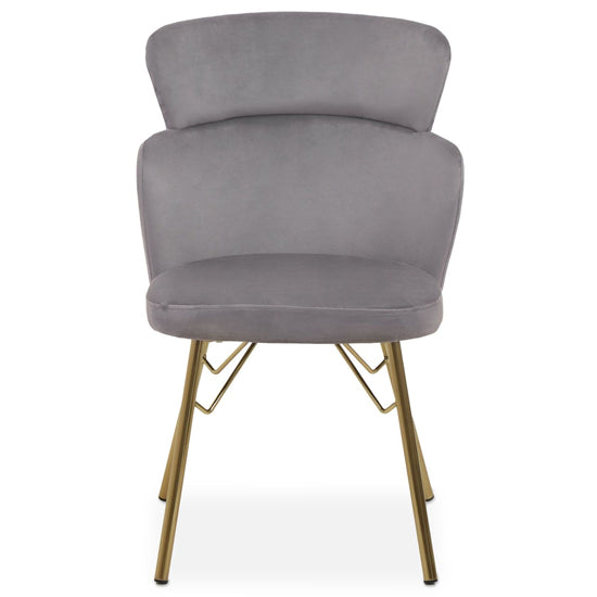 FURCO Grey Velvet Contoured Chair with Gold Accents for Living Room and Bedroom