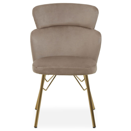 FURCO Mink Velvet Contoured Chair with Gold Legs for Living Room and Bedroom